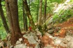 2014-07-05_Laengental-N-Hochweg (467). JPG